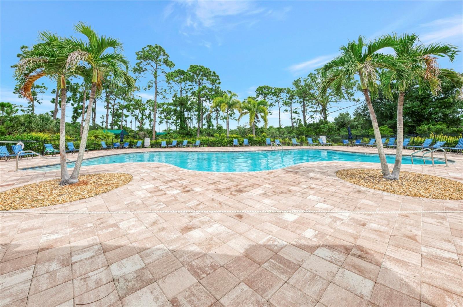 11662 Parrotfish St Property Photo 70
