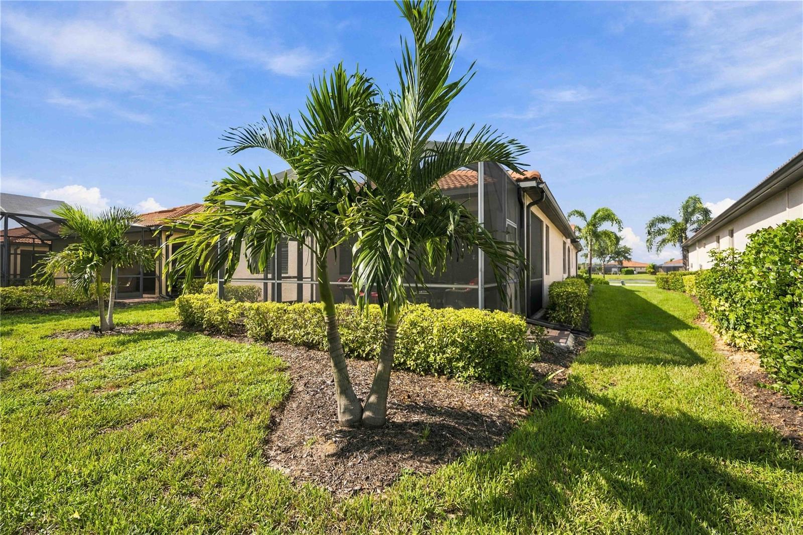 10157 Fiddlewood Dr Property Photo 48