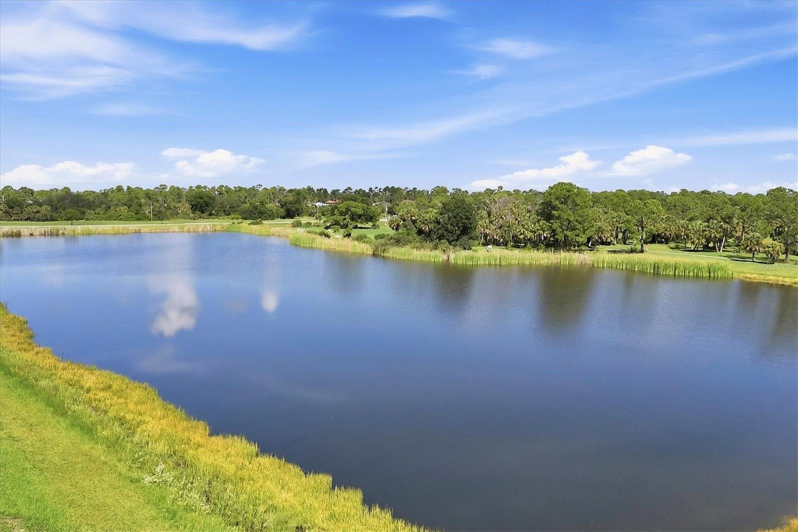150 Green Pine Park Property Photo 36