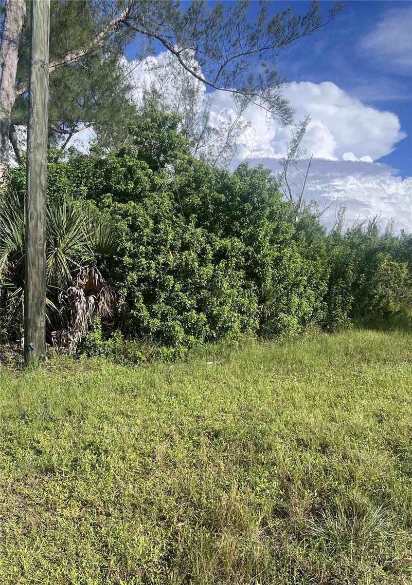 10713 MANGROVE CIR Property Photo 1