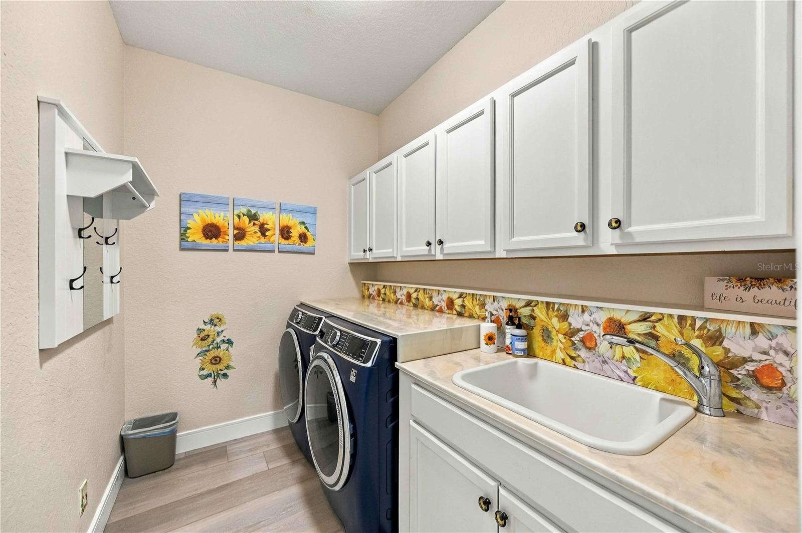 24539 Buckingham Way Property Photo 40