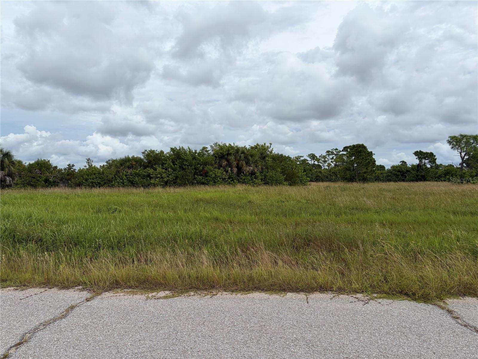 12466 SEDAN RD Property Photo 1