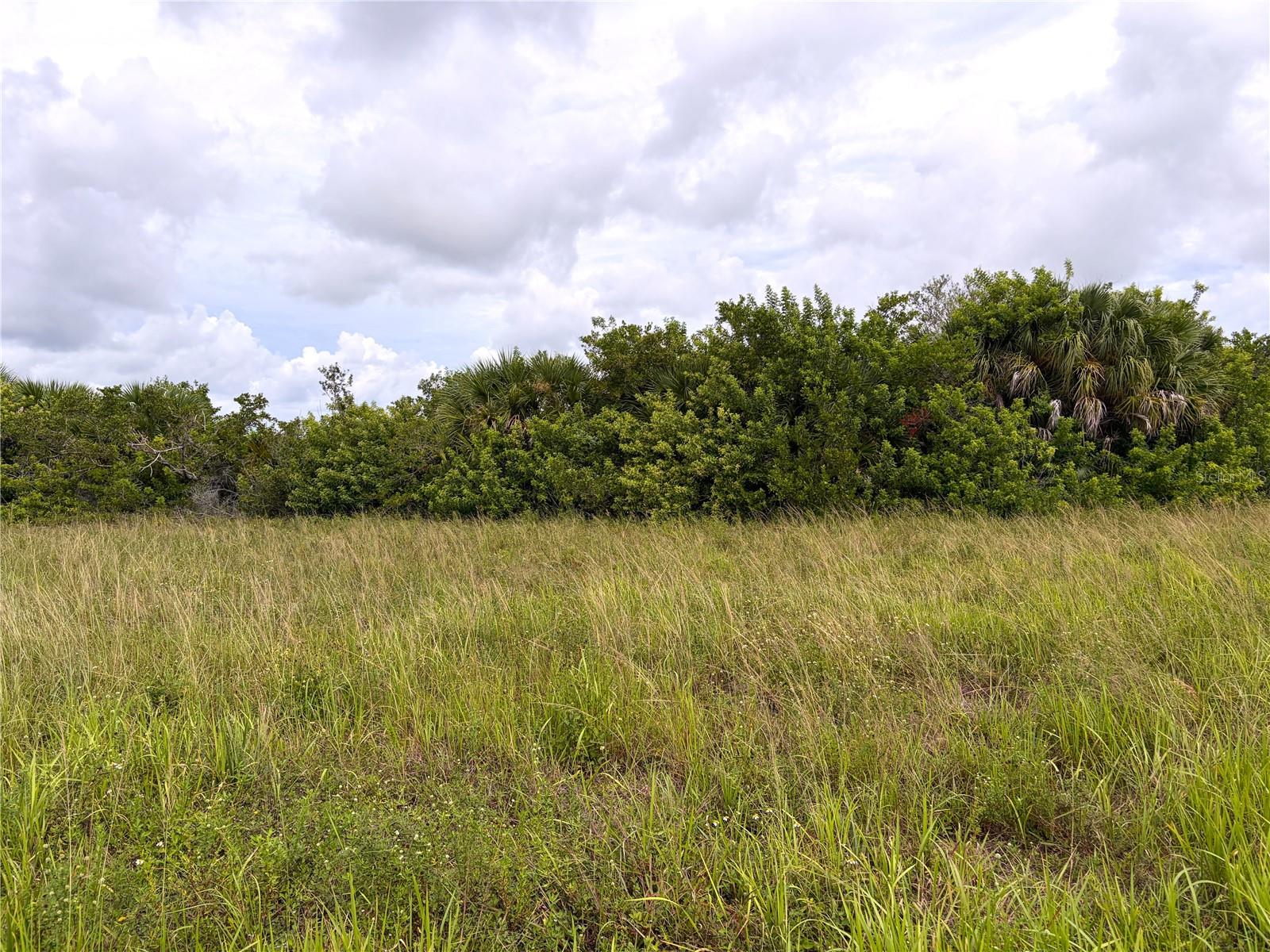12466 Sedan Rd Property Photo 5