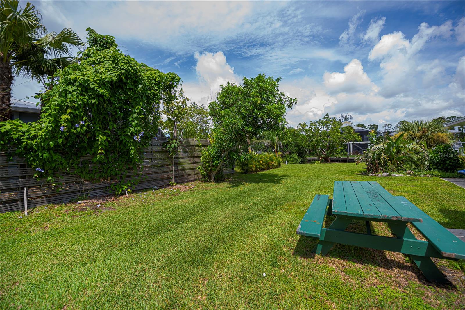 352 Oak St Property Photo 32