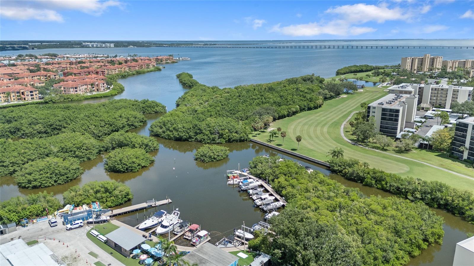 2617 Cove Cay Dr #604 Property Photo 41