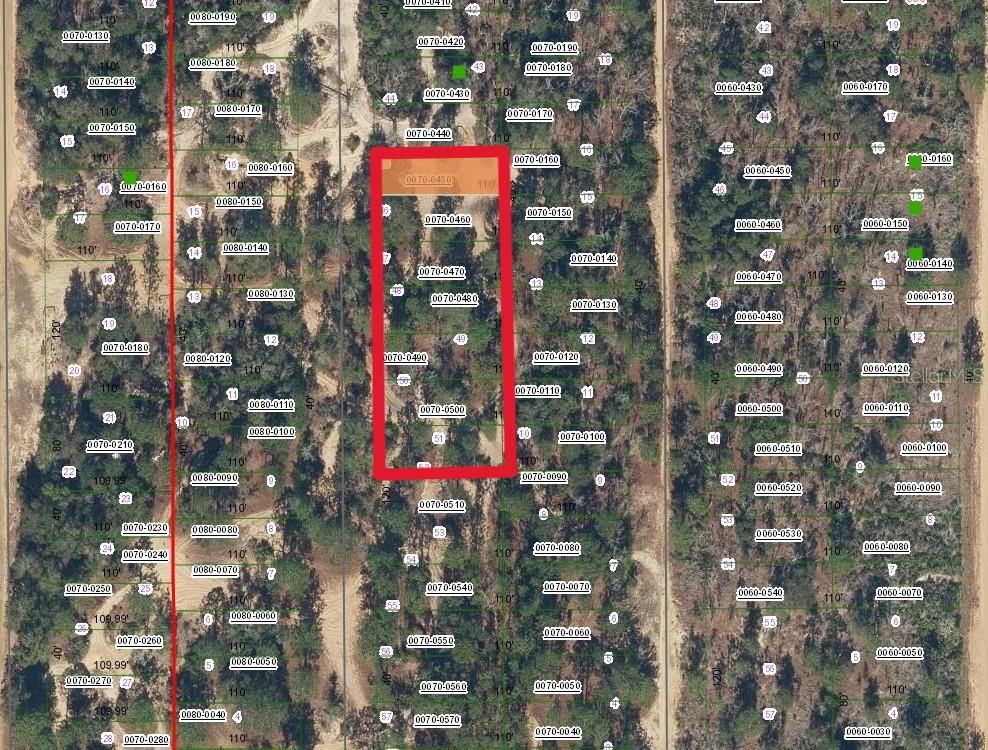 Palm St Property Photo 2