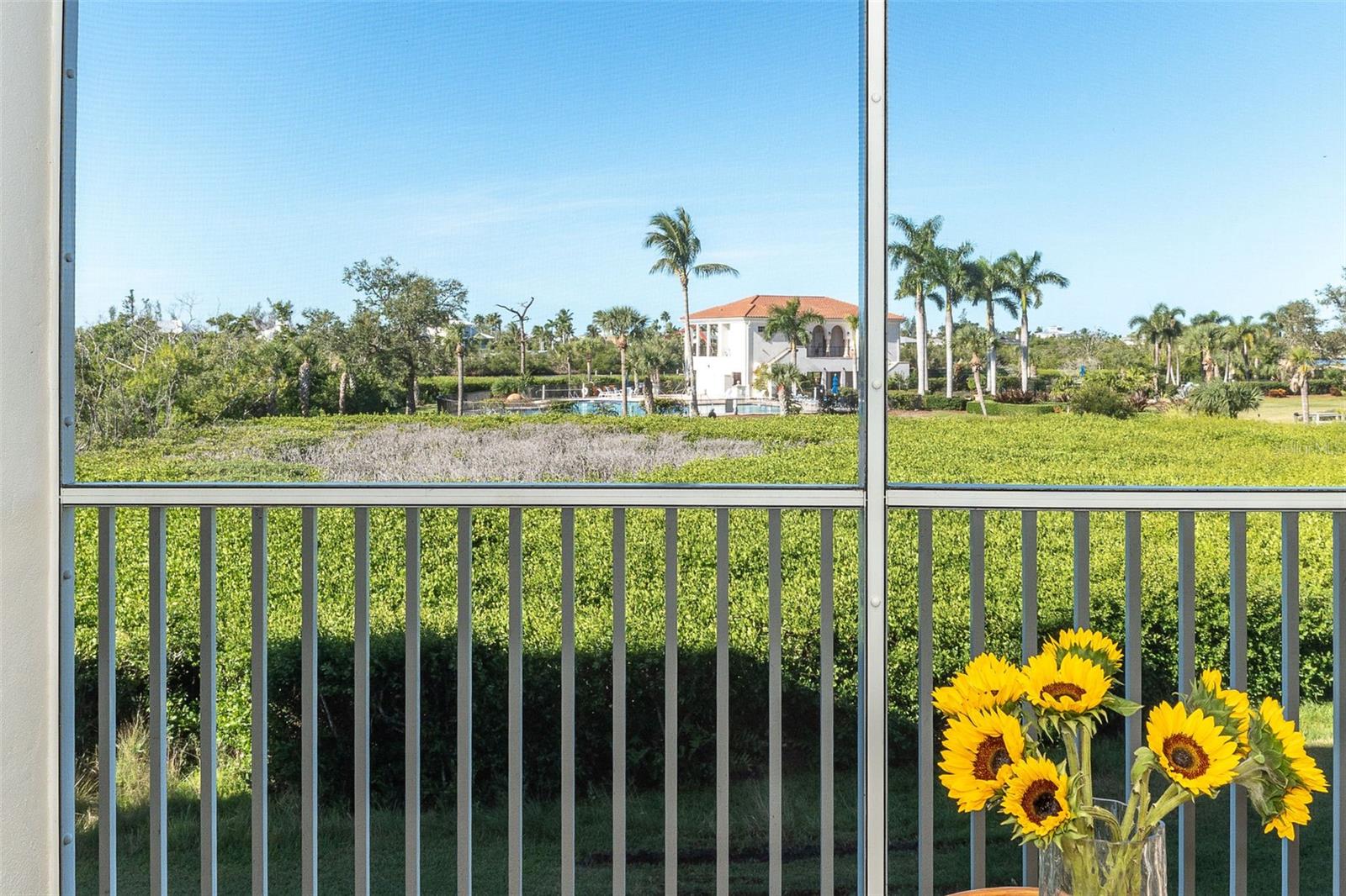 11220 Hacienda Del Mar Blvd #203 Property Photo 32