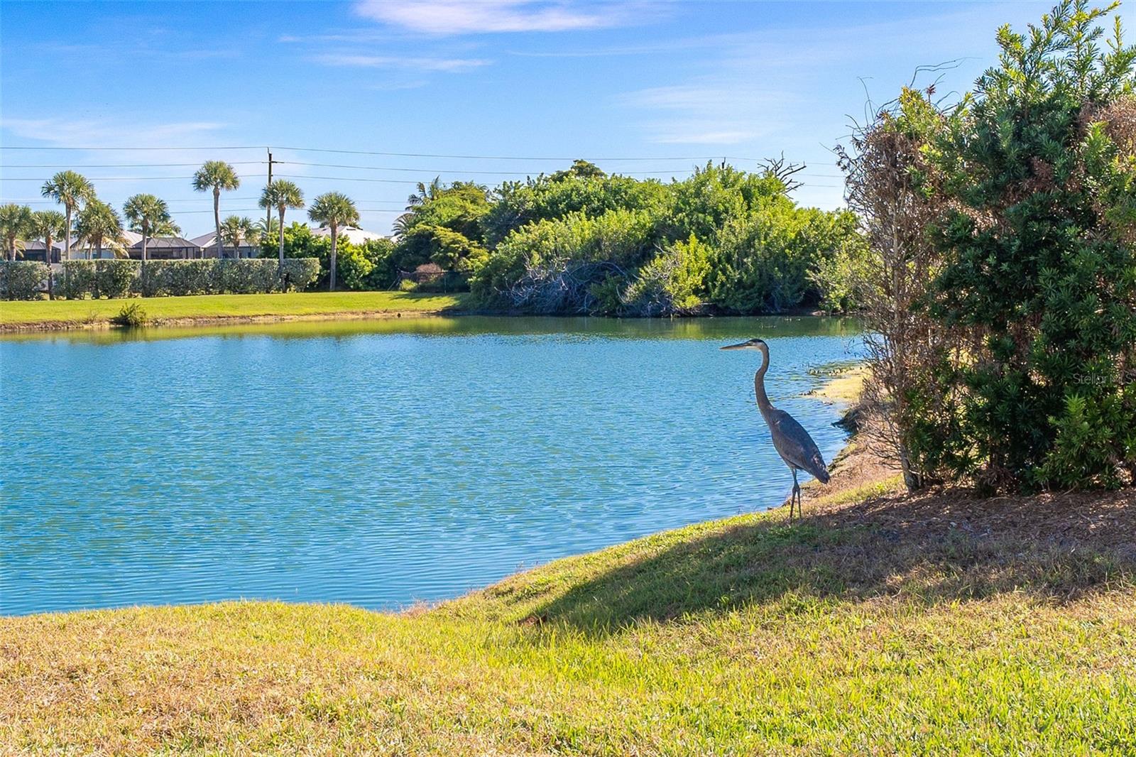 11220 Hacienda Del Mar Blvd #203 Property Photo 42