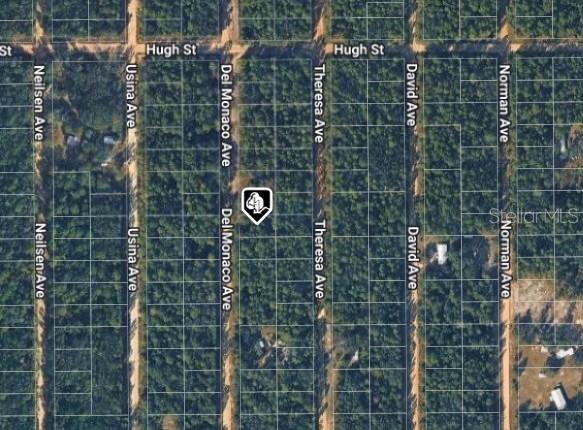 920 Del Monaco Ave Property Photo 3