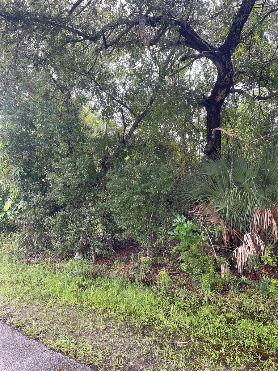 11327 Baggot Ave Property Photo 2