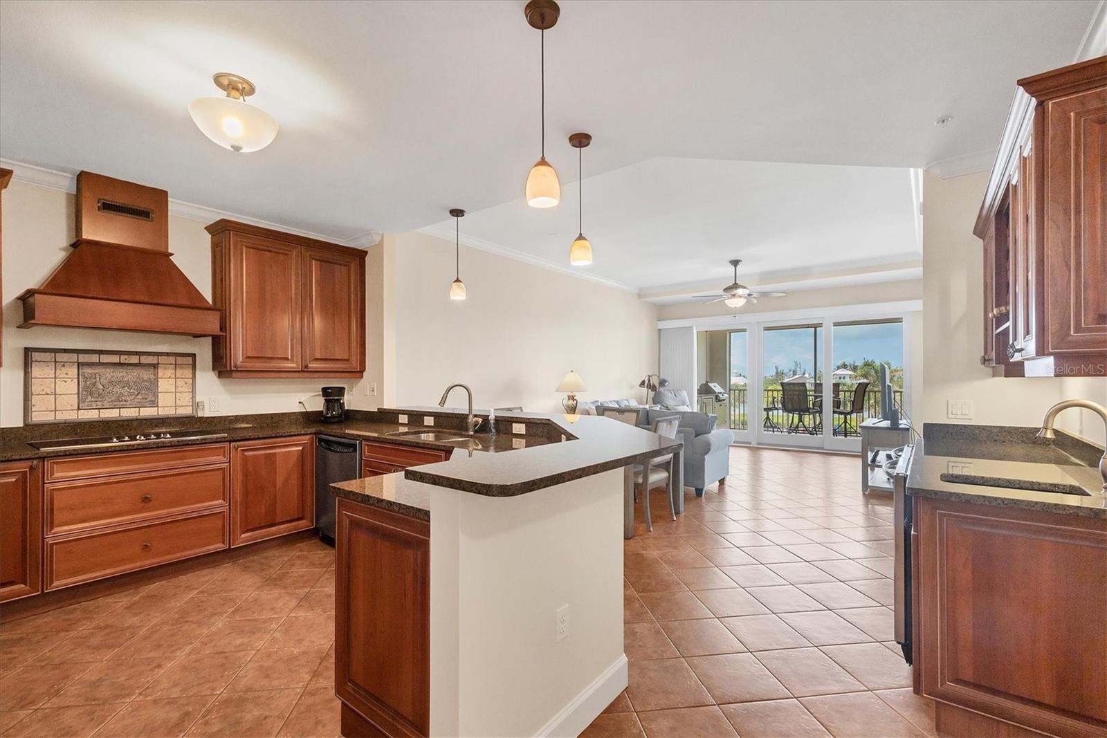 11200 Hacienda Del Mar Blvd #b-305 Property Photo 12