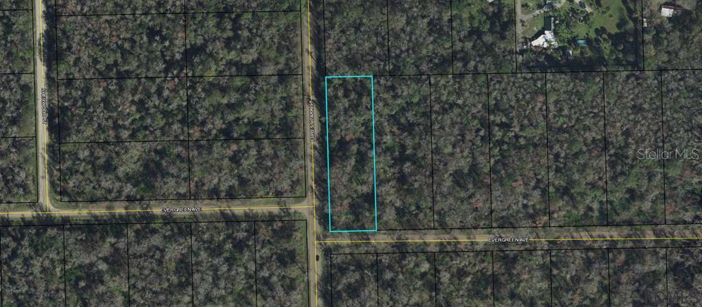 3936 Evergreen Avenue Property Photo 1