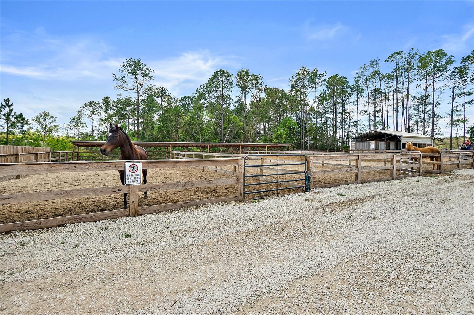 3305 County Road 305 Property Photo 49