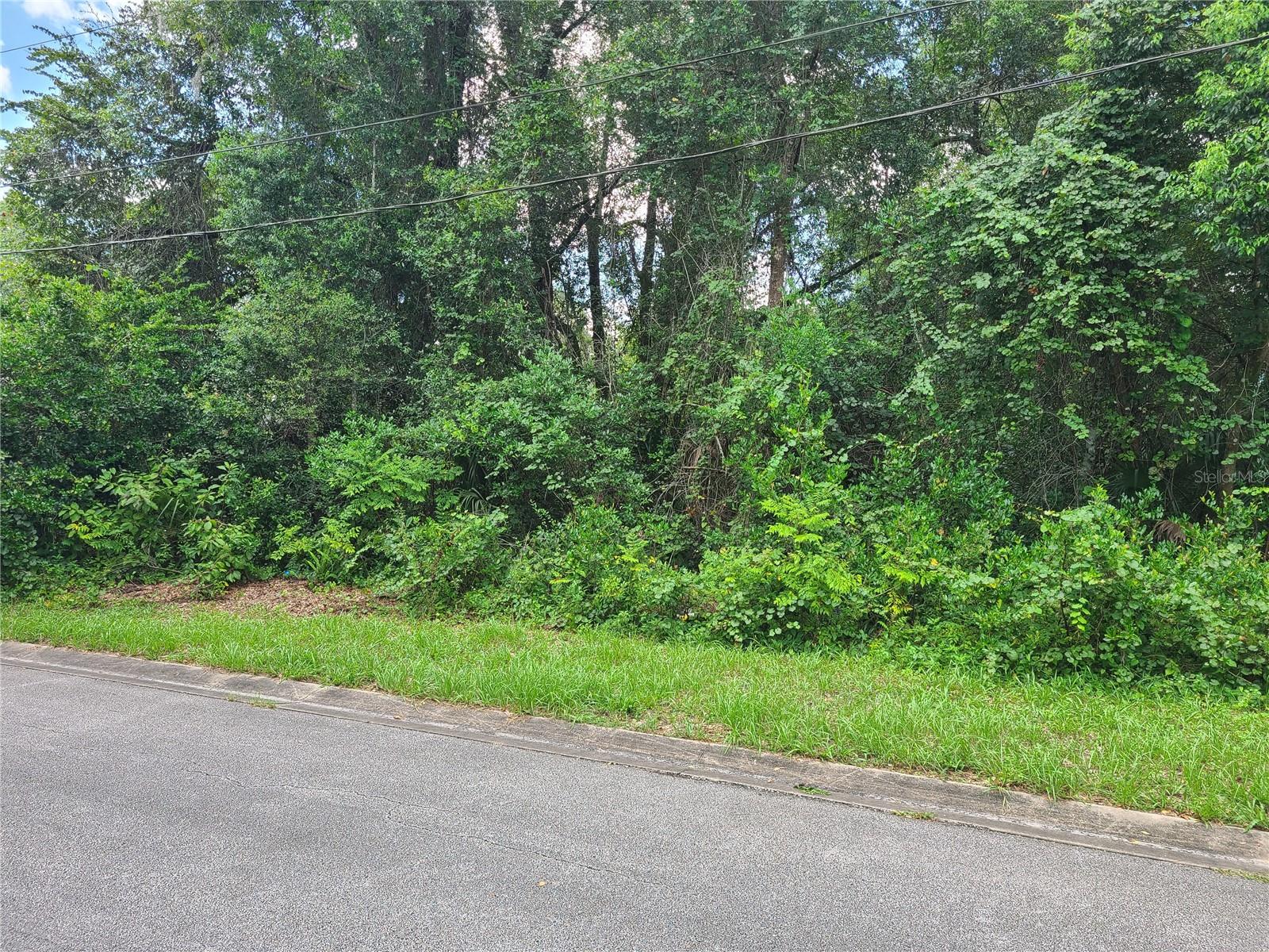 508 W Winnemissett Avenue Property Photo 1