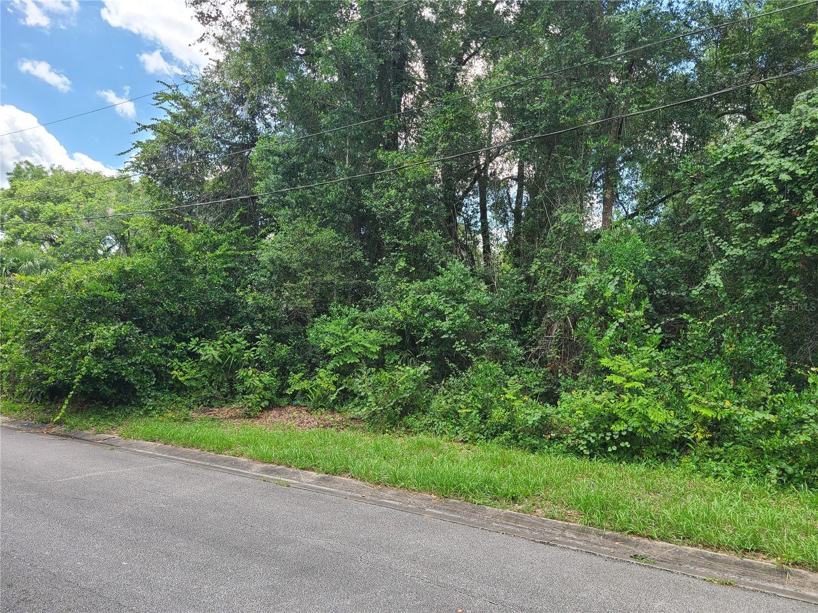 508 W Winnemissett Avenue Property Photo 2