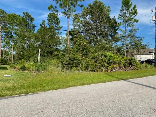 41 Pine Croft Ln Property Photo 2