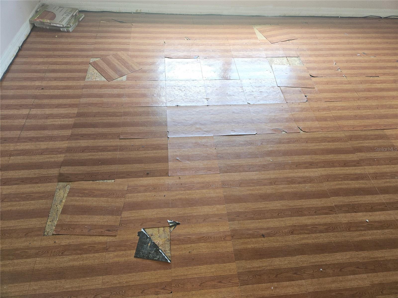 73 London Drive Property Photo 23