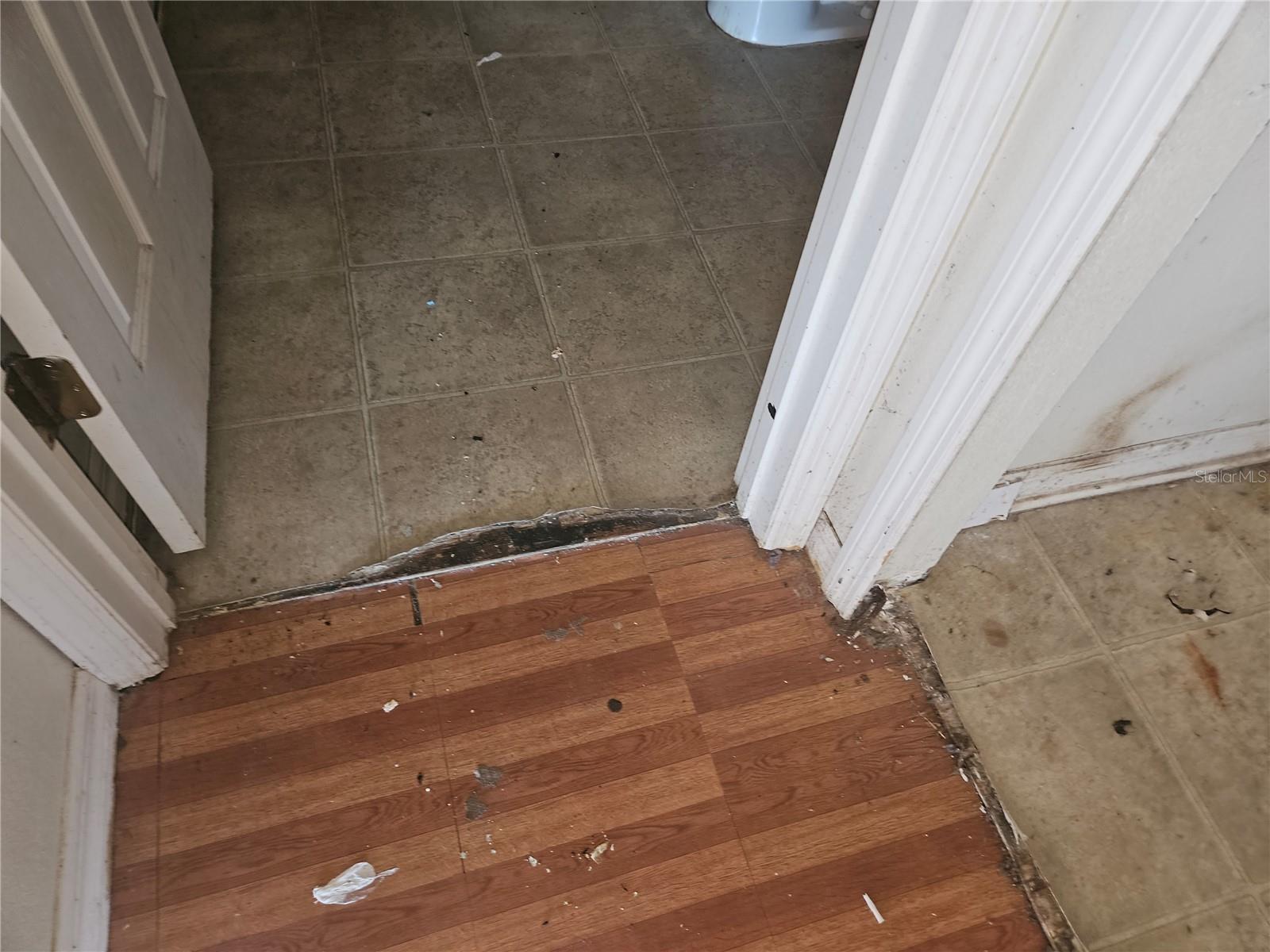 73 London Drive Property Photo 25