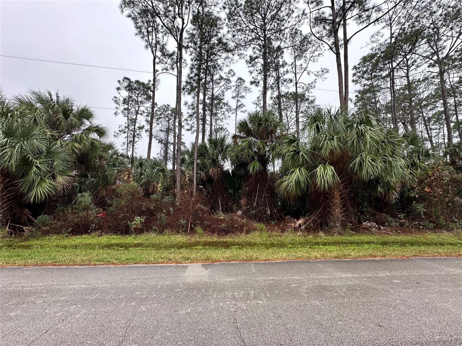 2 Ranber Pl Property Photo 1