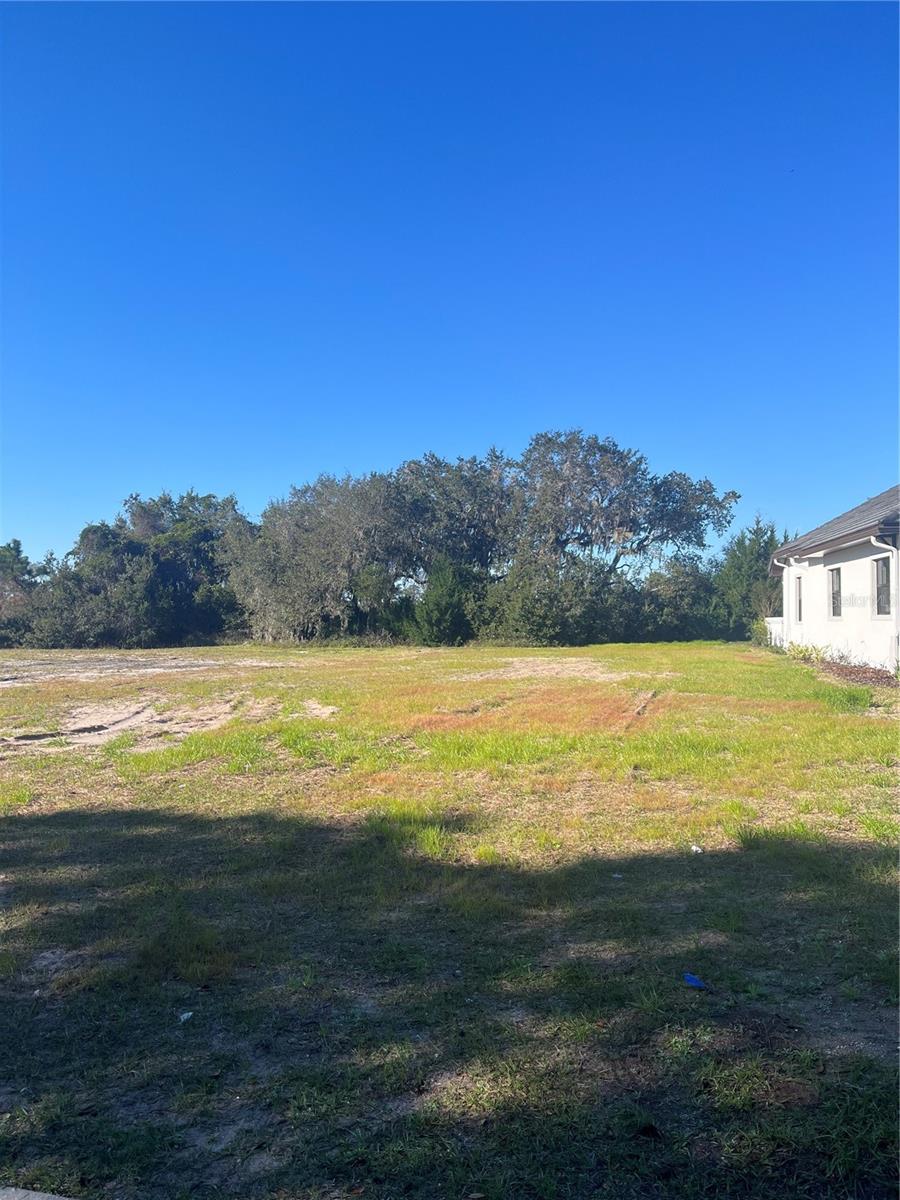 482 Sweetgum Ln Property Photo 4