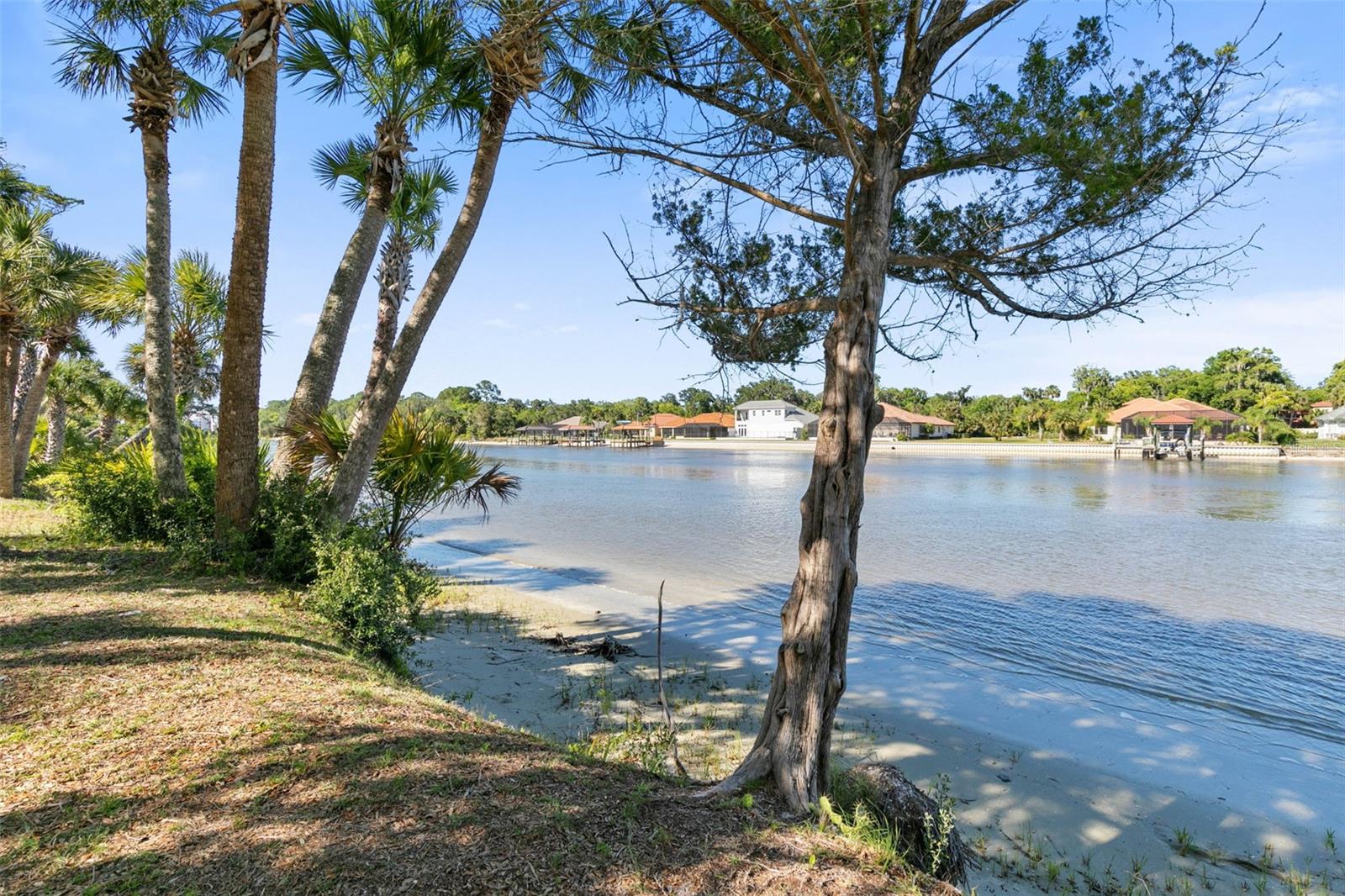 50 Palm Harbor Pkwy ##39 Property Photo 4