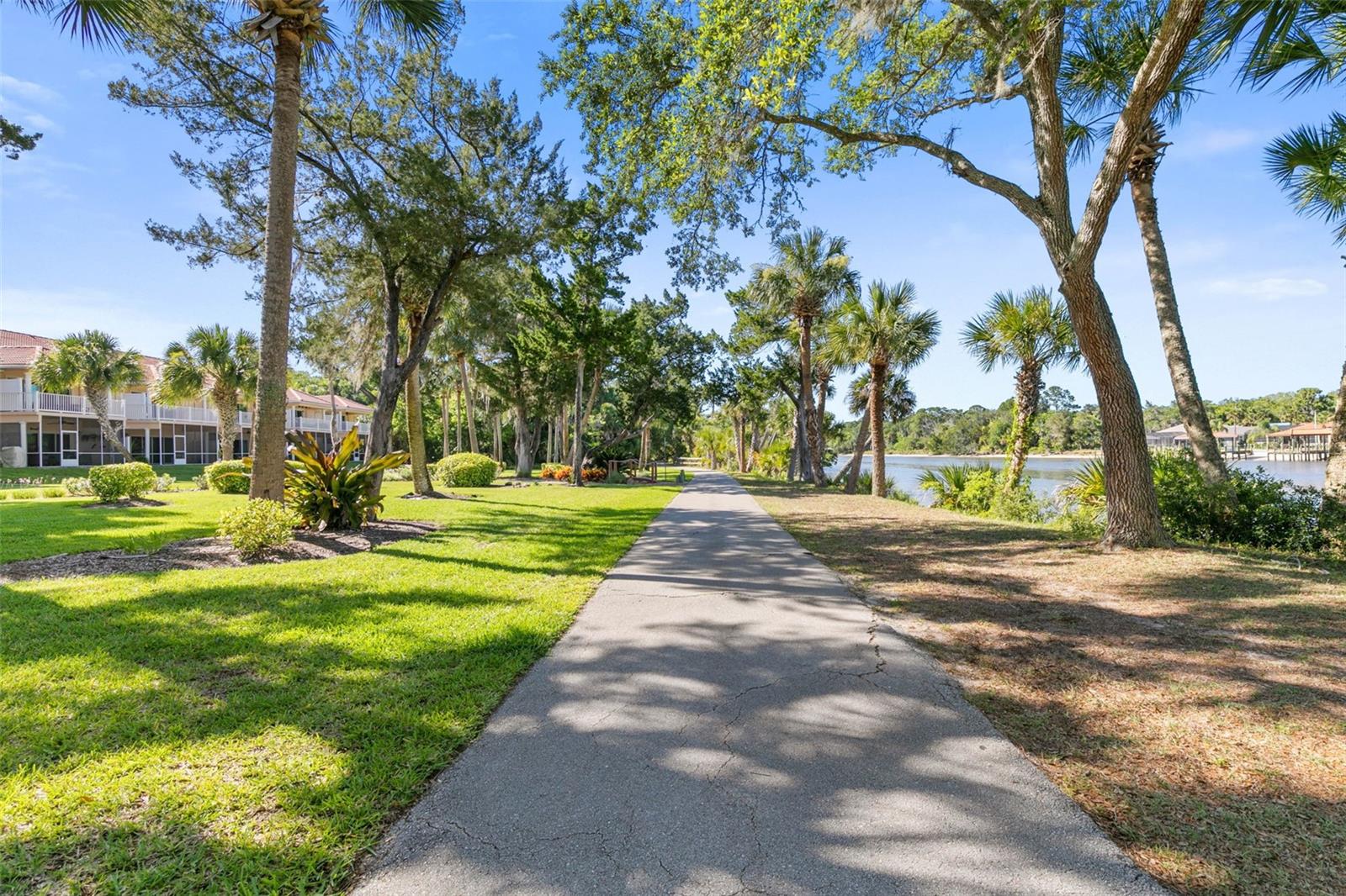50 Palm Harbor Pkwy ##39 Property Photo 5