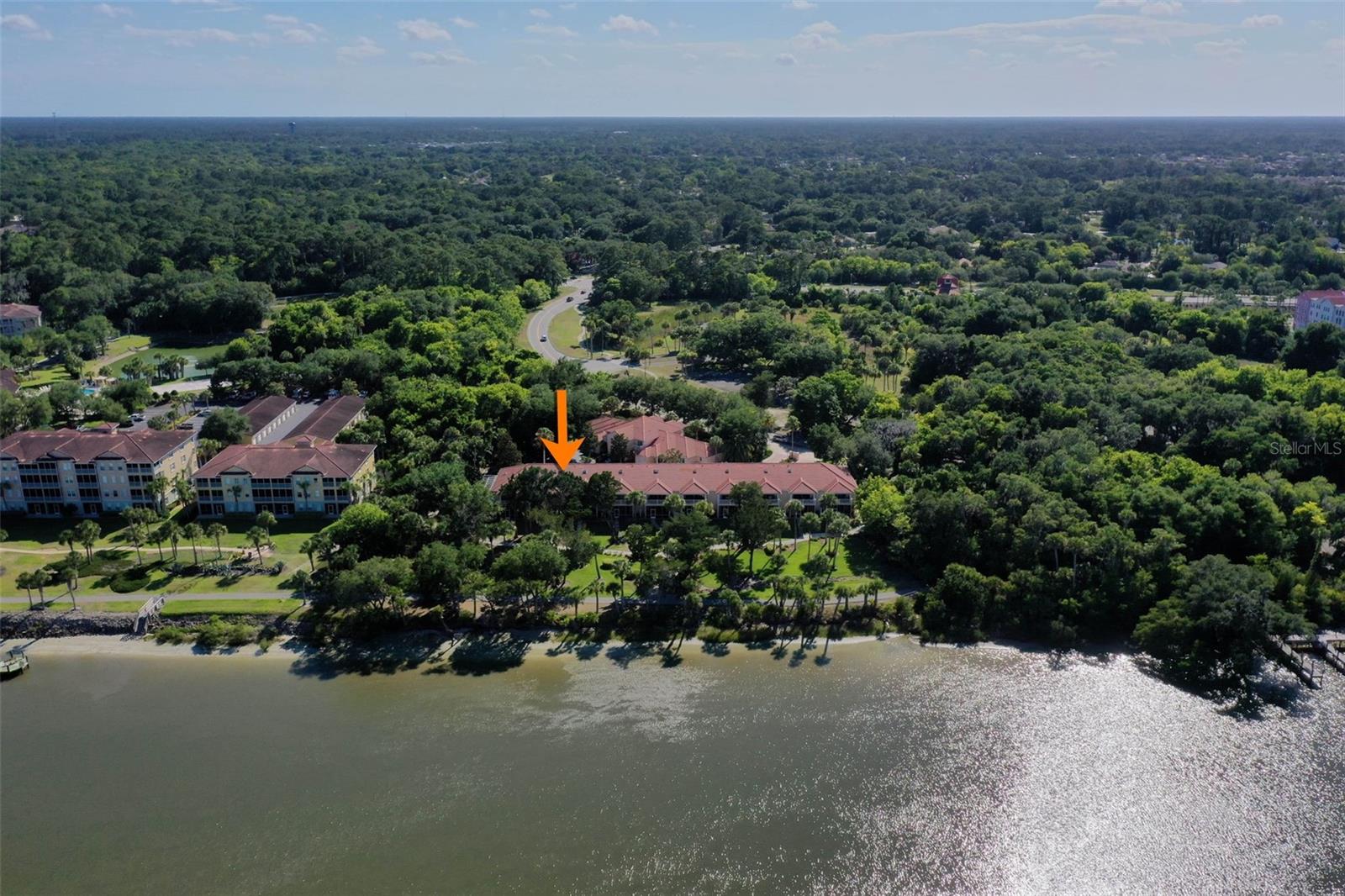 50 Palm Harbor Pkwy ##39 Property Photo 64