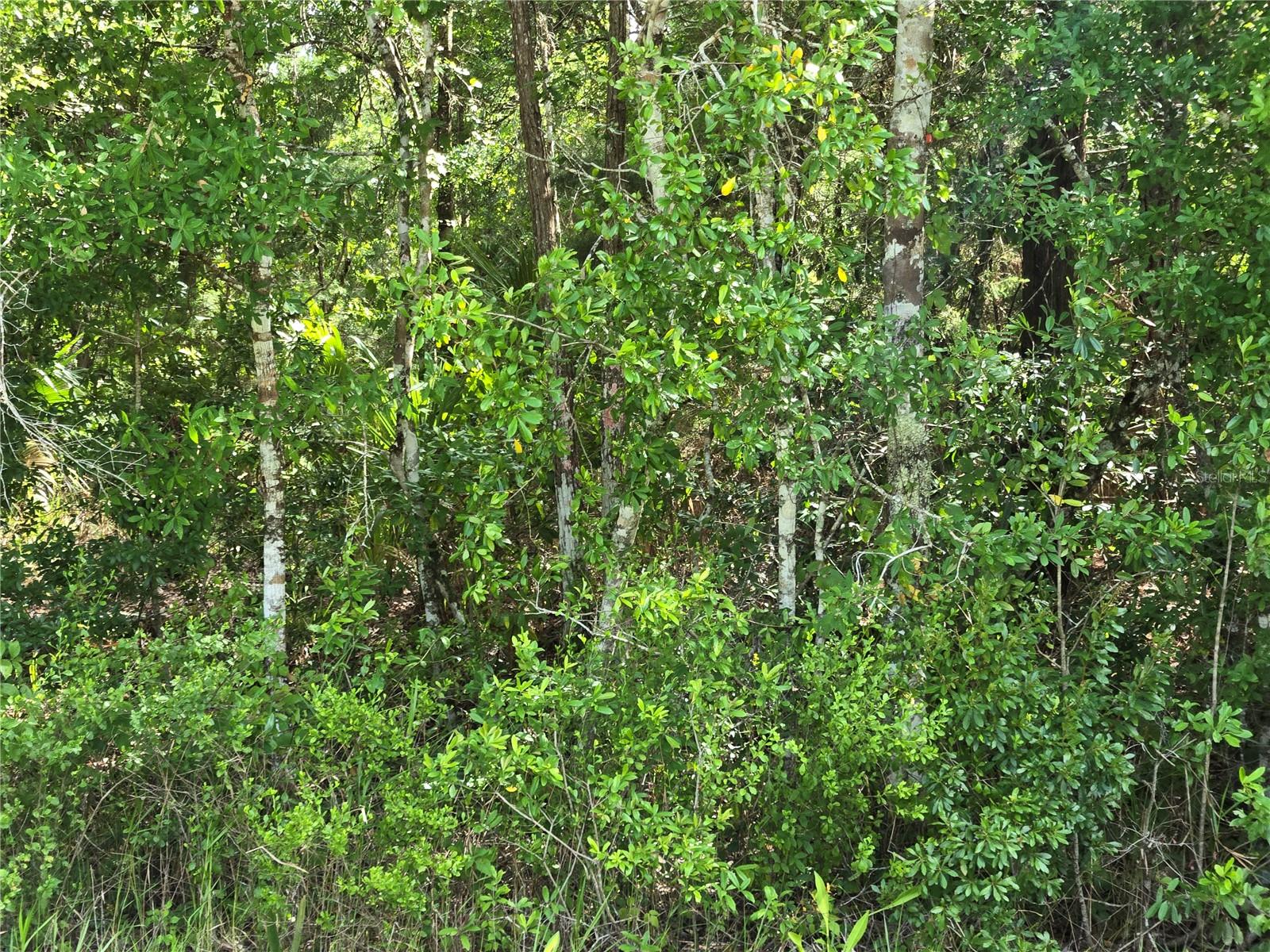 1925 Cr-13 Property Photo 8
