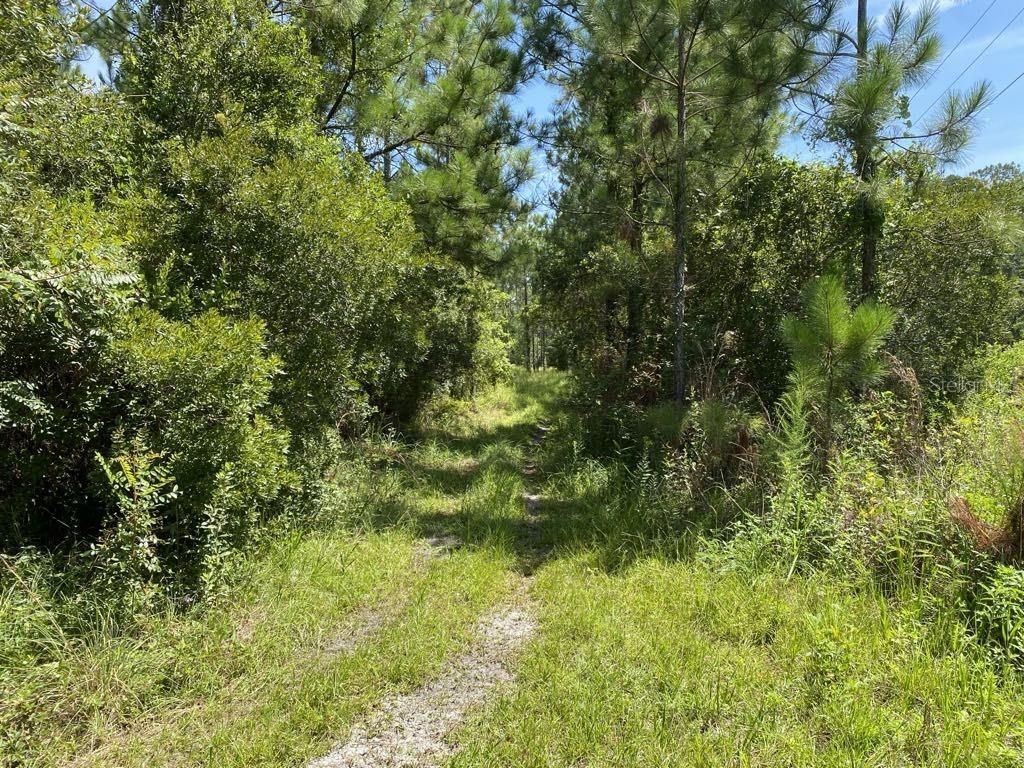 550 W RIVER RD