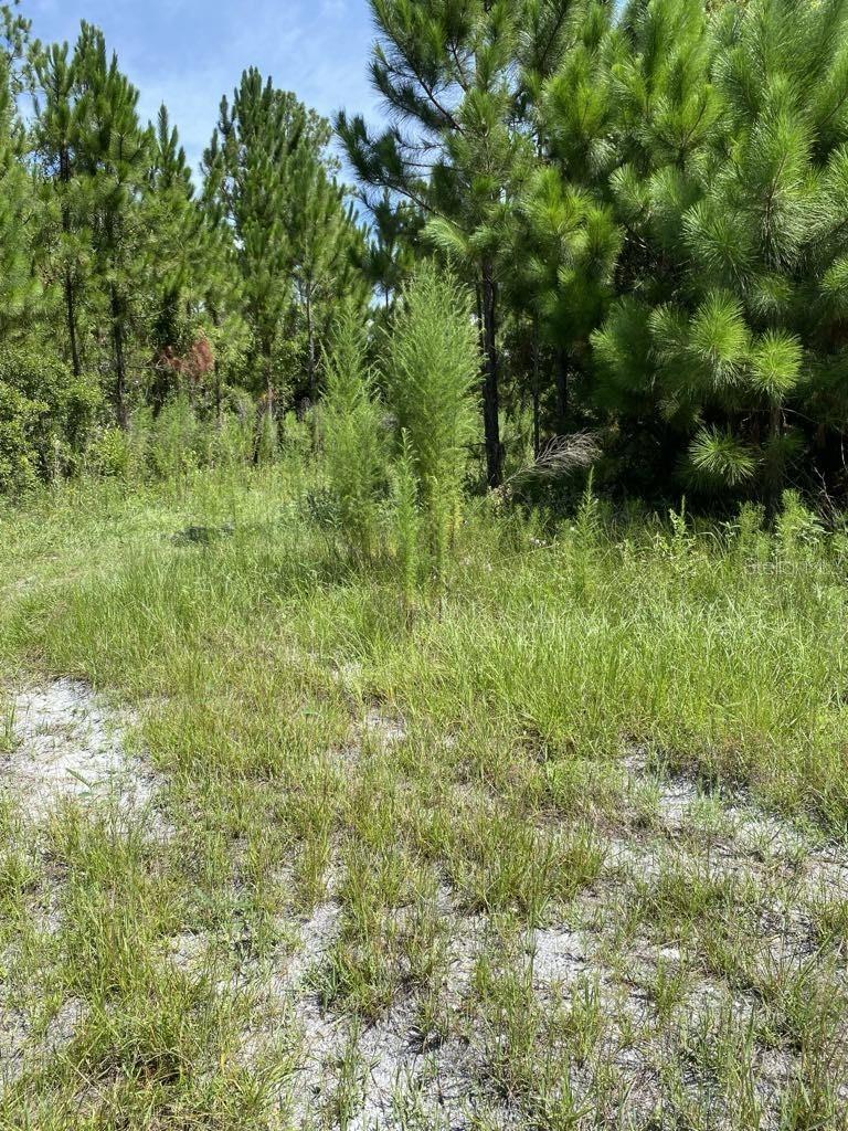 550 W River Rd Property Photo 3