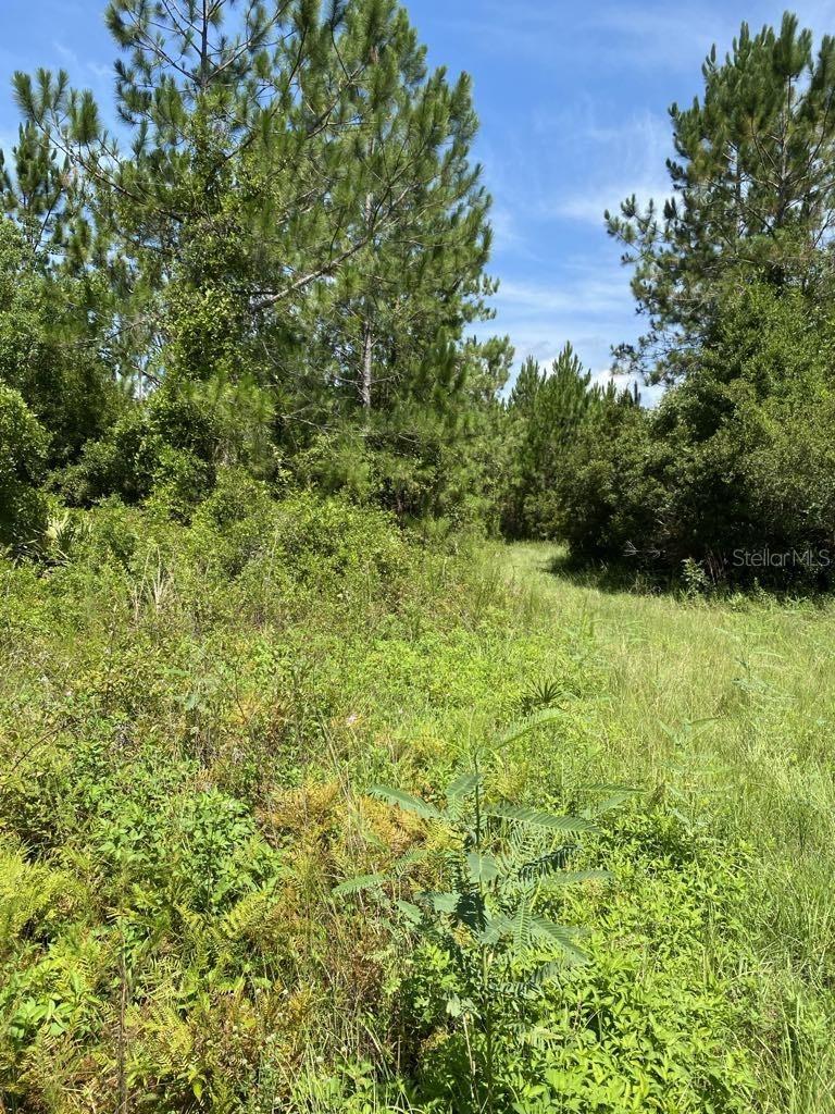 550 W River Rd Property Photo 6