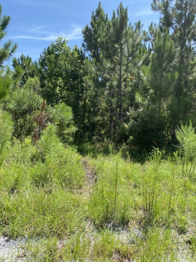 550 W River Rd Property Photo 7