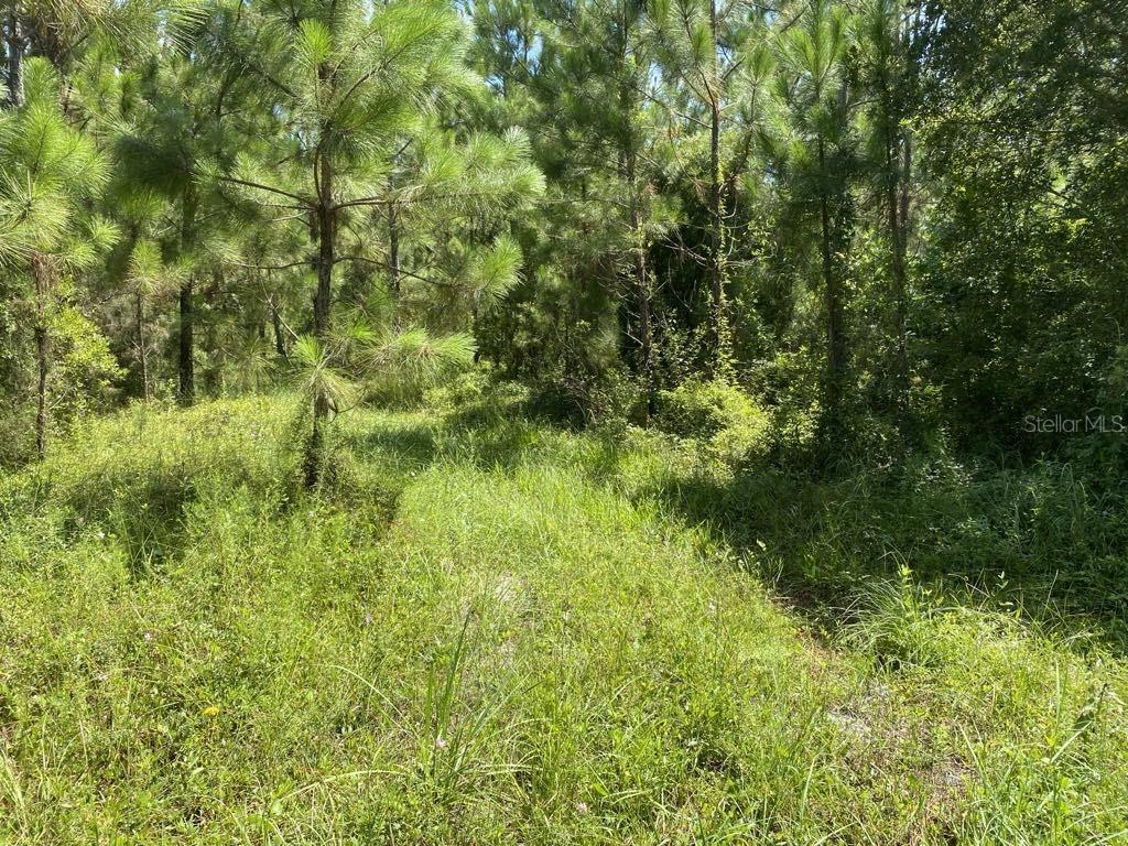 550 W River Rd Property Photo 12