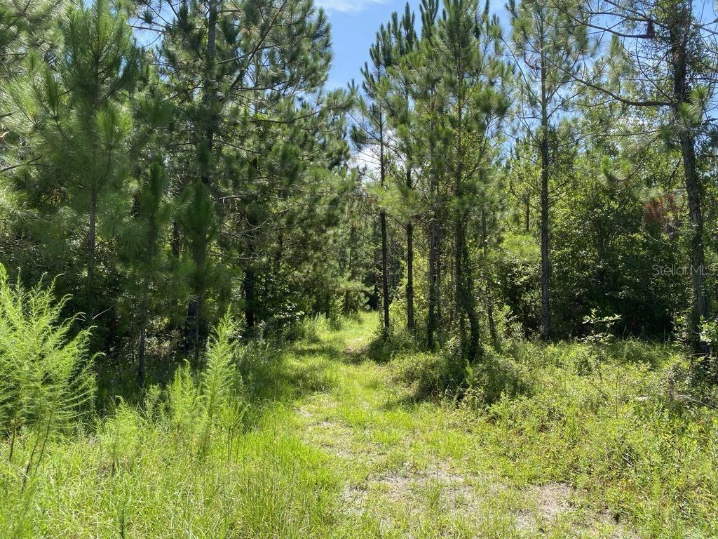 550 W River Rd Property Photo 14