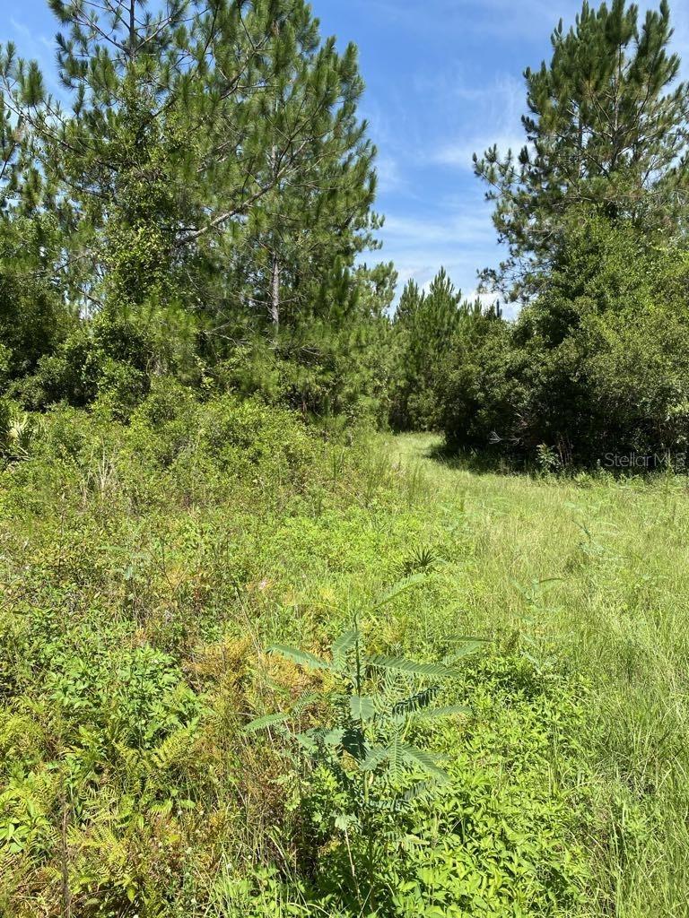 550 W River Rd Property Photo 15