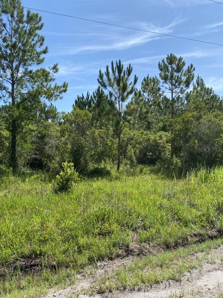550 W River Rd Property Photo 17