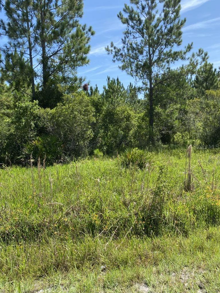 550 W River Rd Property Photo 19