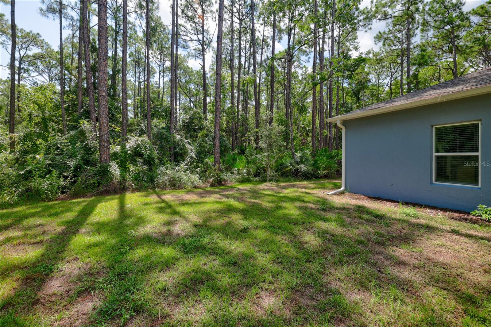 37 Ullman Pl #a & B Property Photo 52