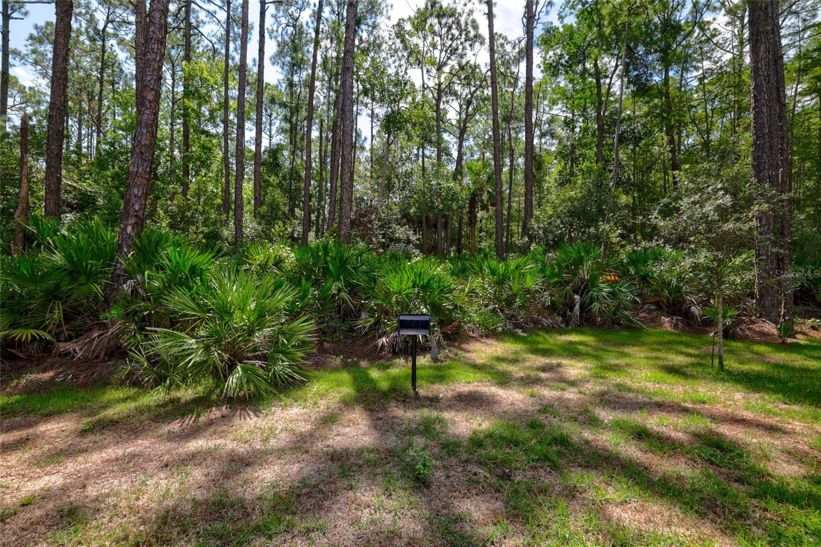 37 Ullman Pl #a & B Property Photo 53