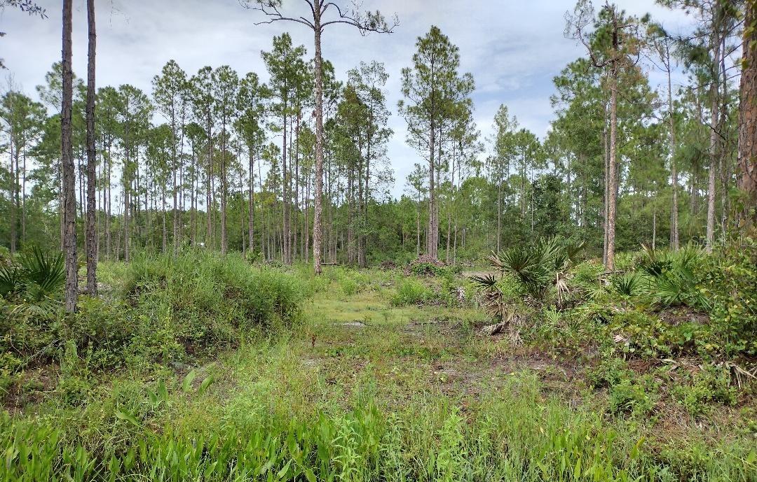 5814 Mahogany Blvd Property Photo 1