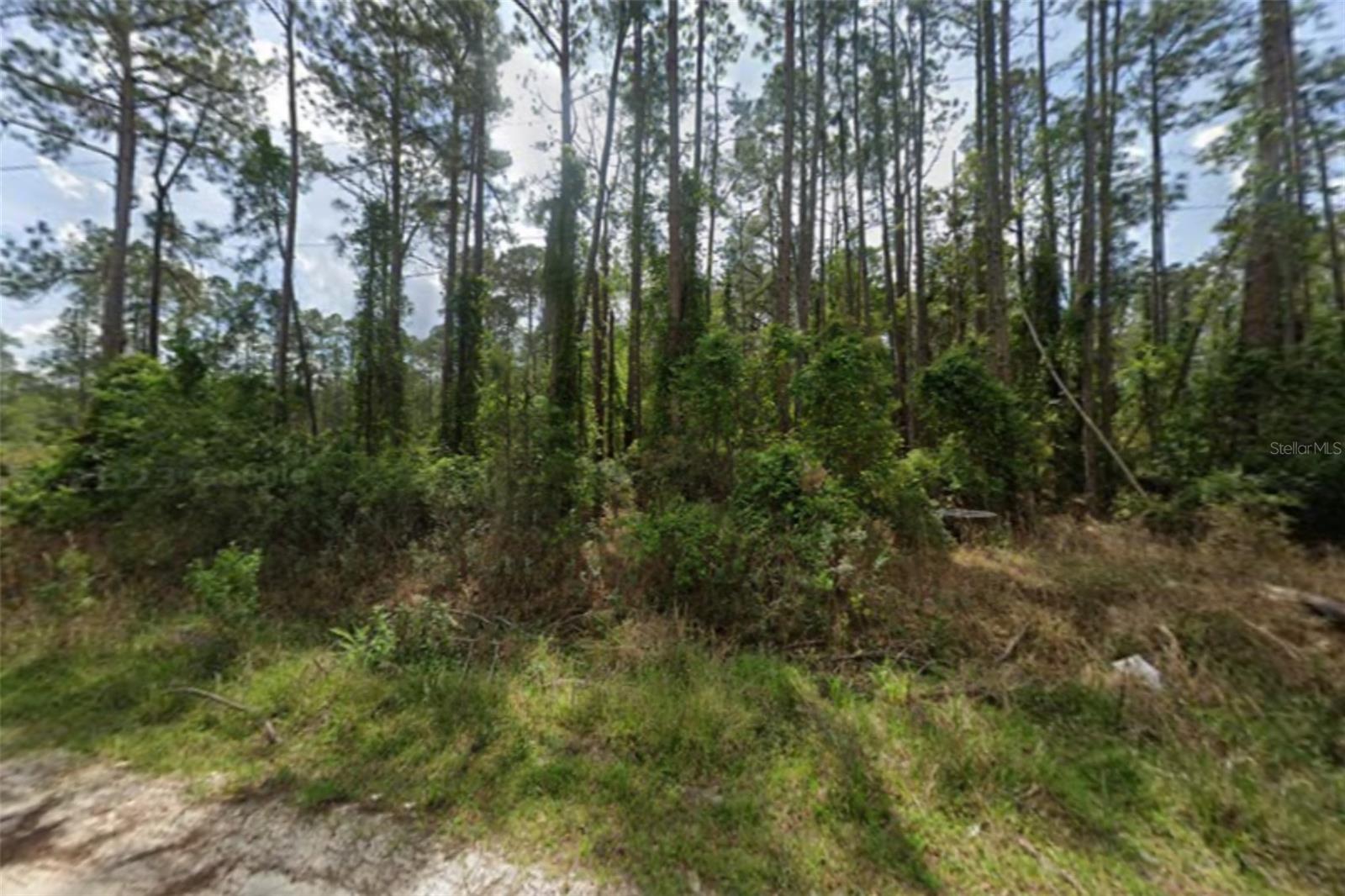 105 Pine Cone Dr Property Photo 1