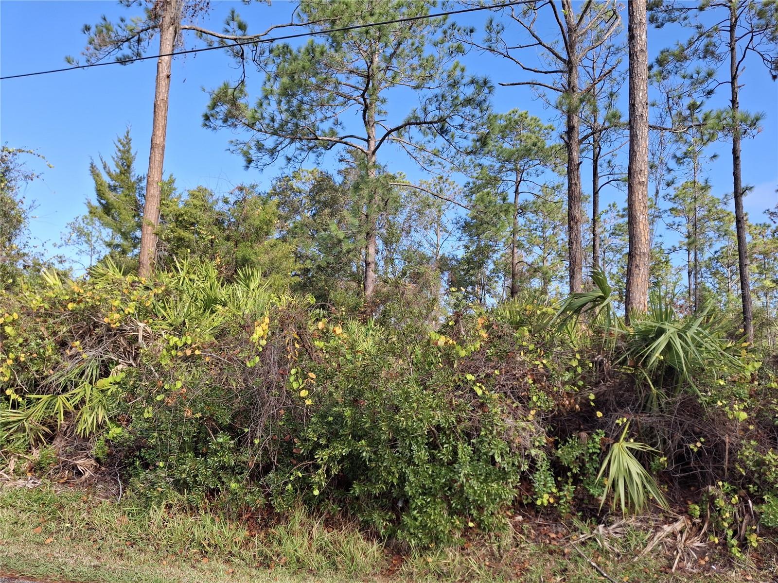 103 Wheatfield Dr Property Photo 3