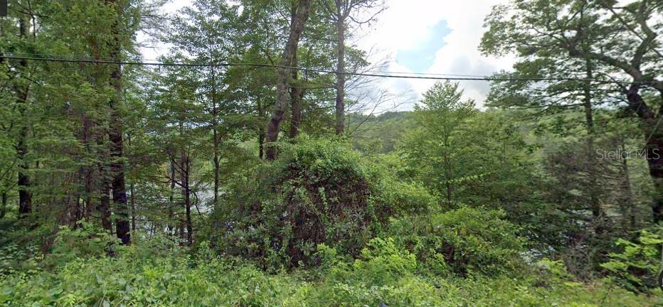 15xx Franklin Rd Property Photo 4