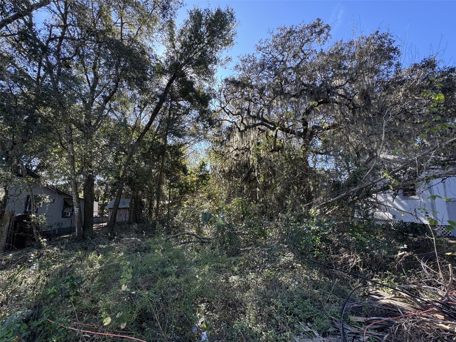 633 Jones St Property Photo 3