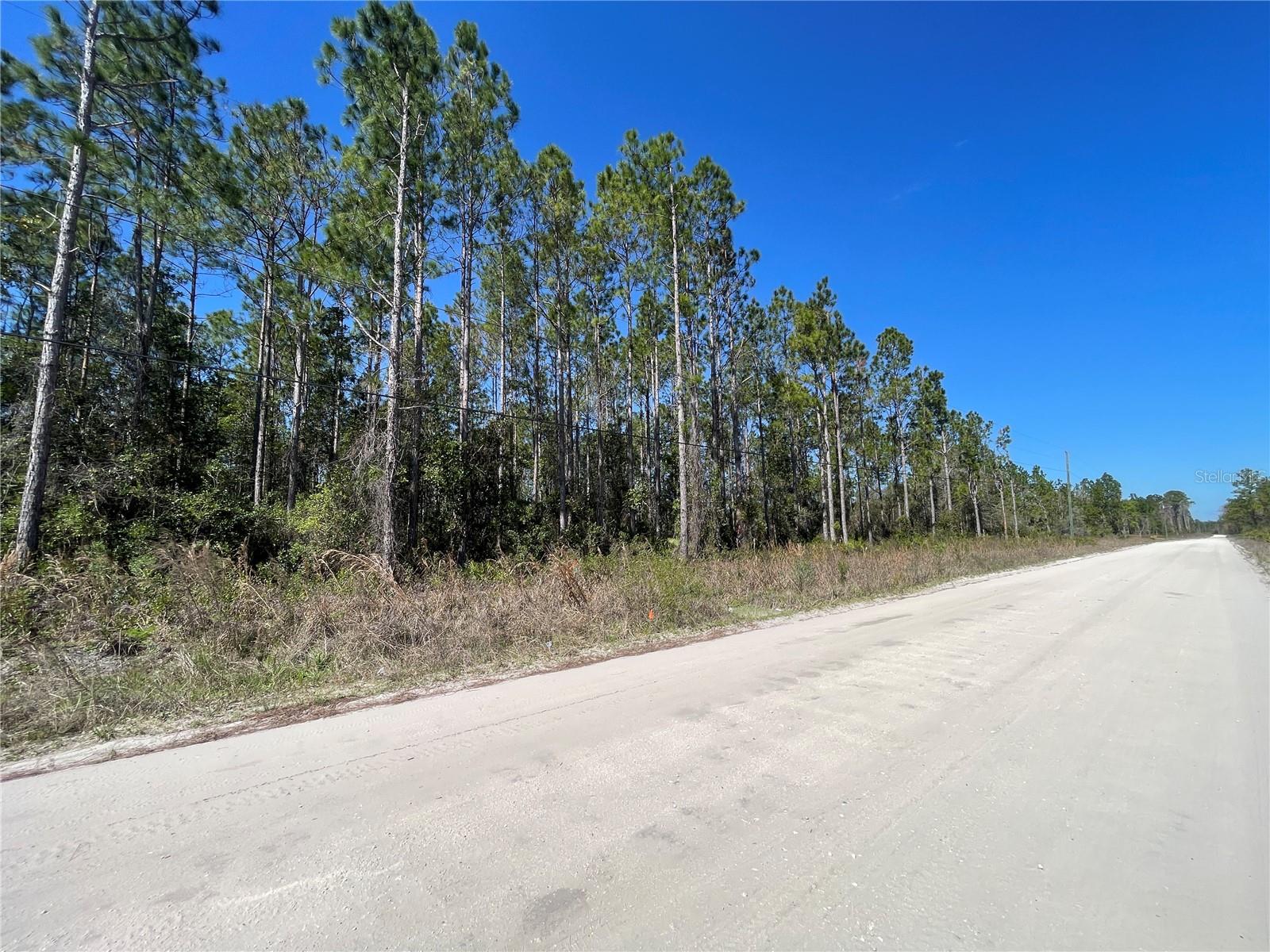 Chesser Hammock Rd Property Photo