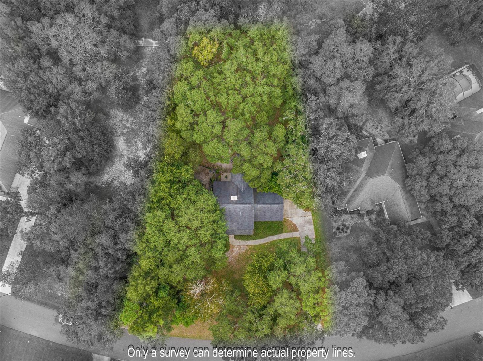 3770 Creek Hollow Ln Property Photo