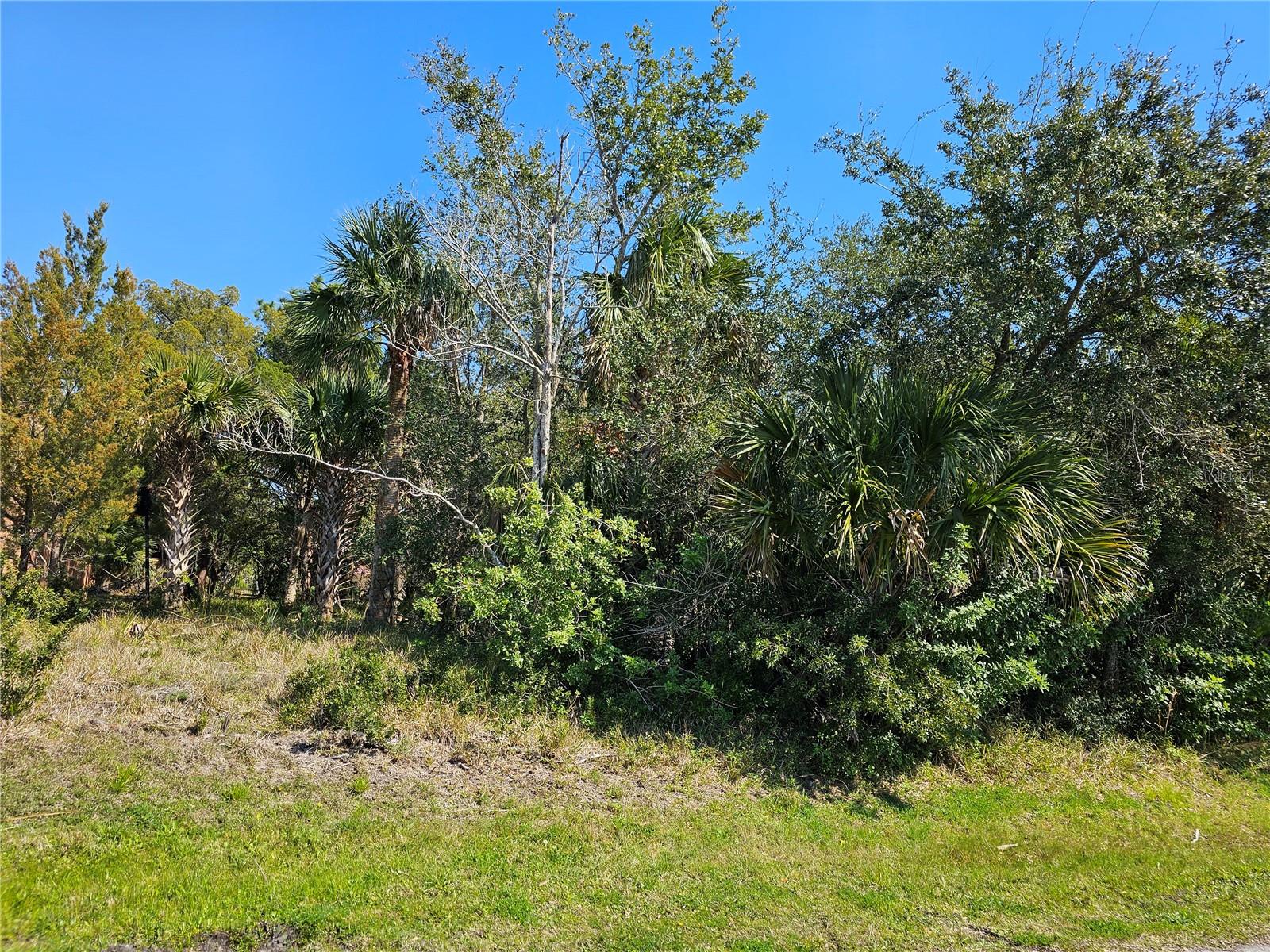 8 Central Pl Property Photo 1