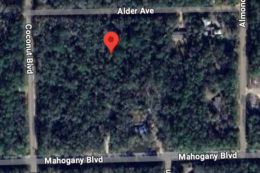 6327 Alder Ave Property Photo