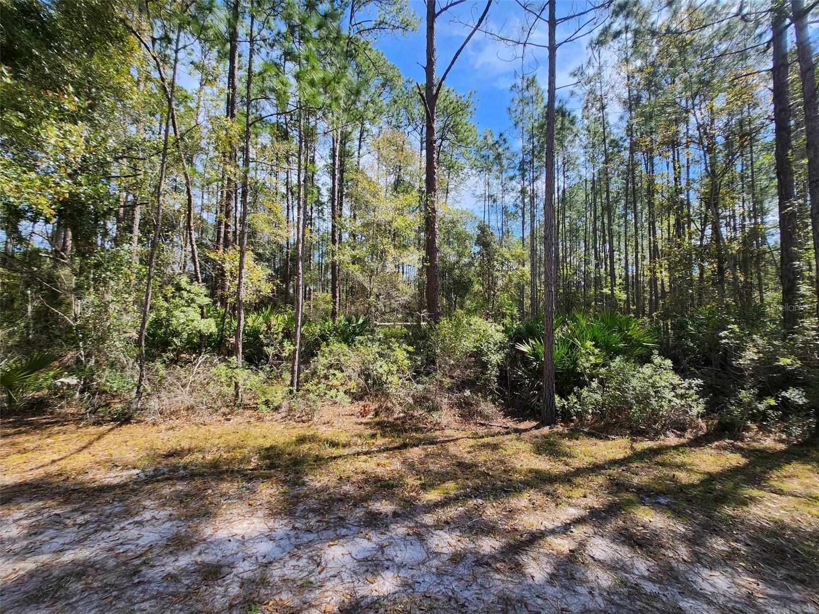 112 Mosswood St Property Photo 3