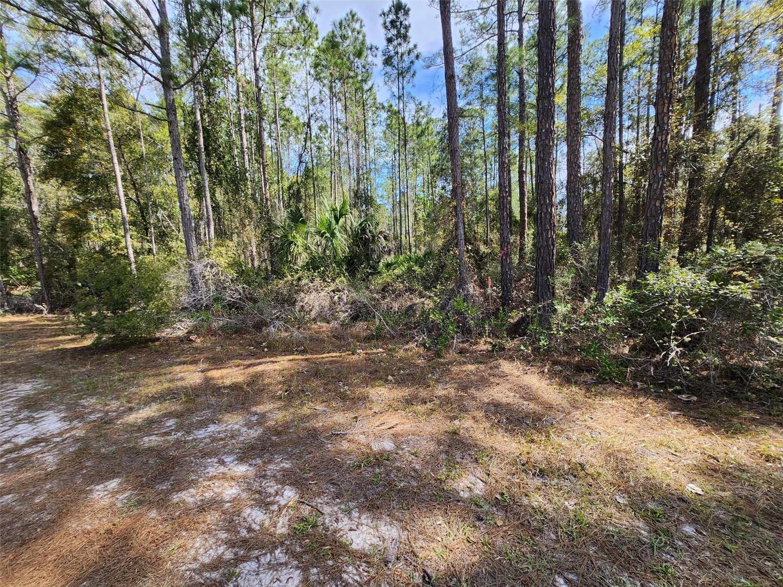 112 Mosswood St Property Photo 6